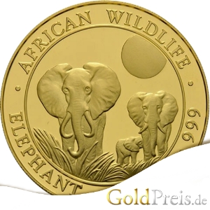 African Wildlife Elephant 2014 Avers